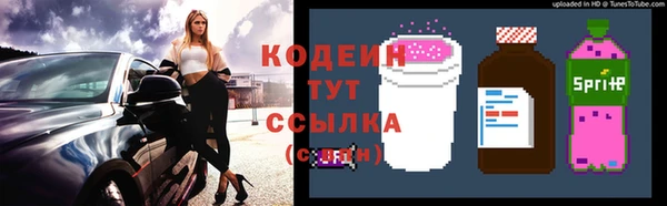 прущие крисы Елизово