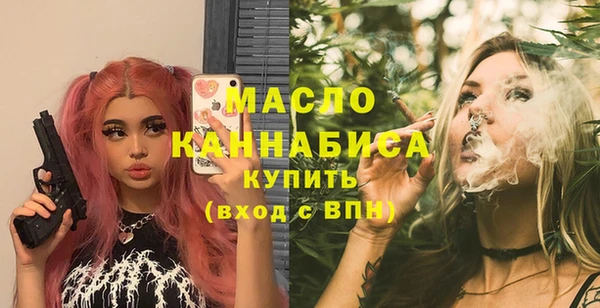 молекула духа Ельня