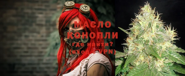молекула духа Ельня