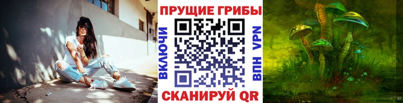 Купить  Мглин  Галлюциногенные грибы Cubensis 